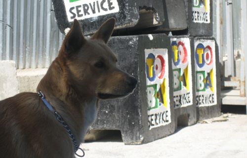 Max il guardiano